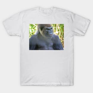 Grumpy Gorilla T-Shirt